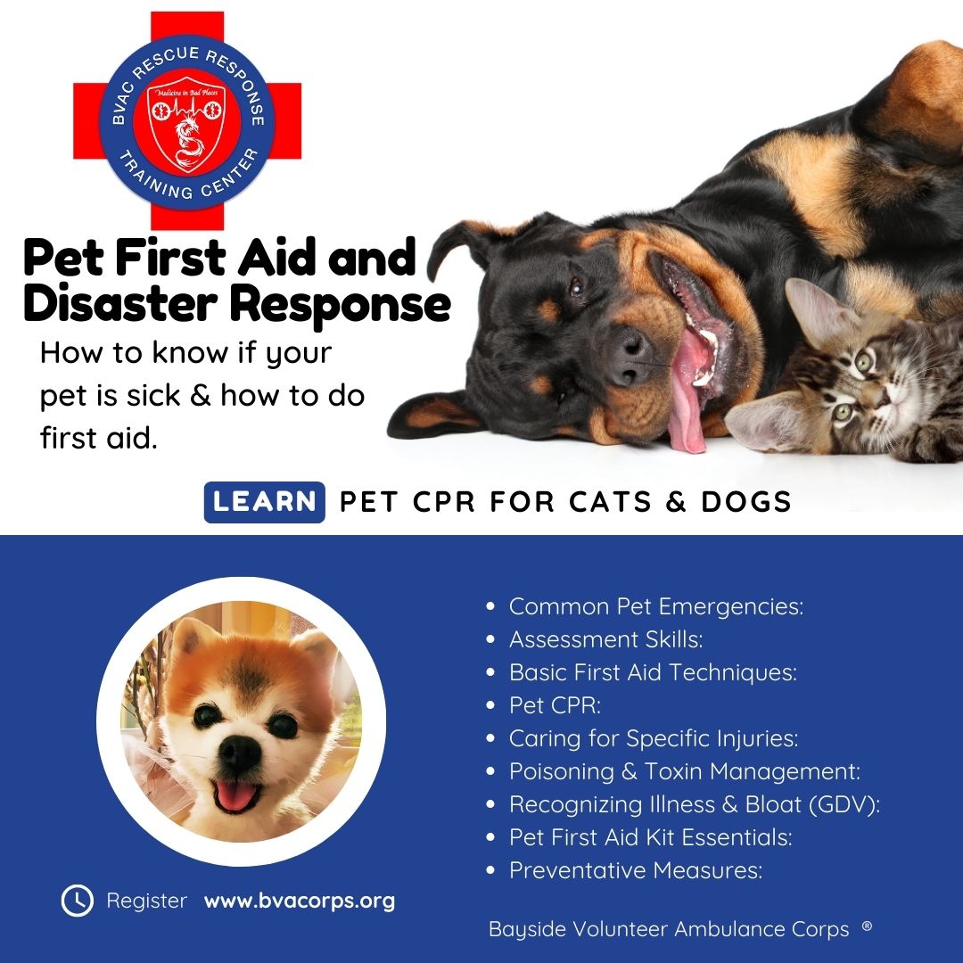 Pet First Aid and Disaster Response